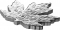 20 Dollars 2015, Canada, Elizabeth II, Maple Leaf Silhouette, Silver Maple Leaf, Edge