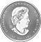 300 Dollars 2022, Canada, Elizabeth II, 70th Anniversary of the Accession of Elizabeth II to the Throne, Platinum Jubilee