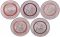 5 Euro 2017, KM# 357, Germany, Federal Republic, Climate Zones of the Earth, Tropical Zone, Five German mints use a polymer ring in different shades of red