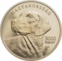 3000 Forint 2023, Hungary, Hungarian Shepherd and Hunting Dog Breeds, Transylvanian Hound