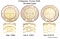 10 Piso 2000-2017, KM# 278, Philippines, Obvers types