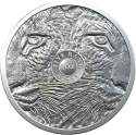 5 Rand 2020, South Africa, Big Five, Leopard