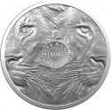 5 Rand 2019, South Africa, Big Five, Lion
