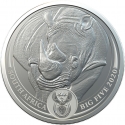 5 Rand 2020, South Africa, Big Five, Rhinoceros