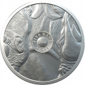 5 Rand 2020, South Africa, Big Five, Rhinoceros